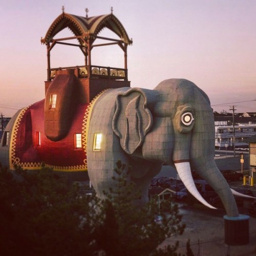 Penginapan unik di balik bangunan gajah (Foto: instagram @lucytheelephant)
