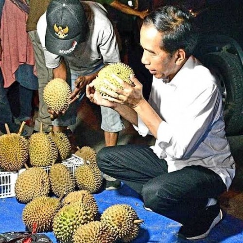 Presiden Jokowi saat membeli durian. (detik food)
