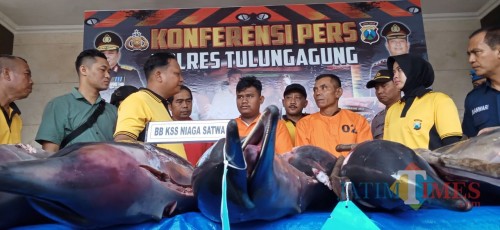 Kedua pelaku SN dan FDS saat ditanya oleh Kapolres Tulungagung, tampak bangkai lumba-lumba (Joko Pramono/ JatimTIMES)