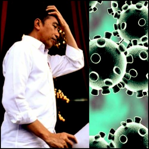 Pemerintah terpaksa akan mengambil kebijakan realokasi DD untuk hadapi virus Corona (Ist)