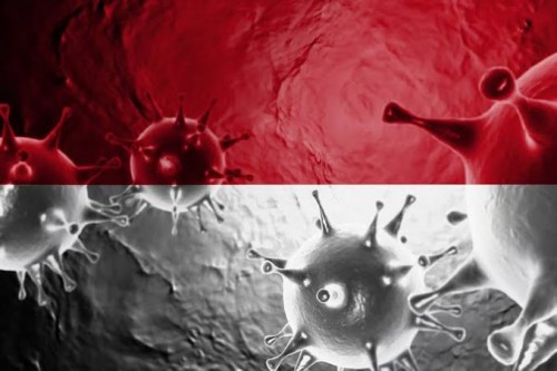 Ilustrasi virus covid-19 (Ist)