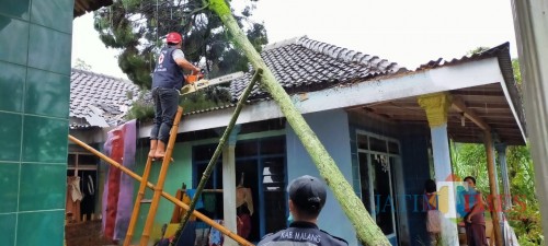 Petugas gabungan saat mengevakuasi pohon tumbang yang menimpa rumah salah satu warga (Foto : PMI Kabupaten Malang for MalangTIMES)