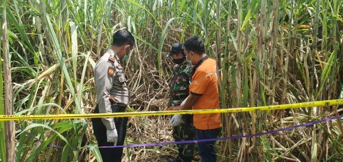 Proses olah TKP penemuan kerangka manusia di Desa Catakgayam, Kecamatan Mojowarno, Kabupaten Jombang. (Istimewa)