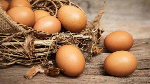 Telur. (Foto: istimewa)