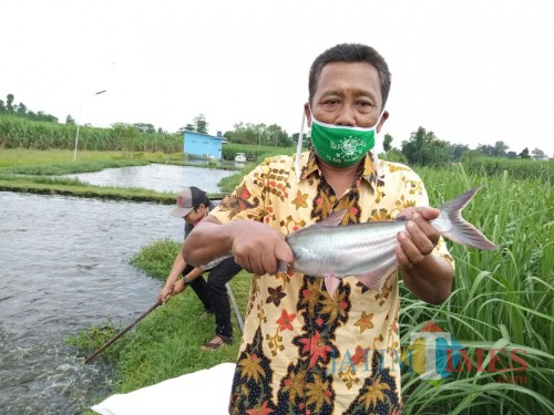 Yoyok Mubarok menunjukan ikan patin di kolamnya yang seharusnya sudah terjual (Joko Pramono for Jatim TIMES)