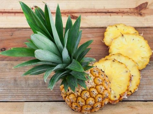 Ilustrasi nanas. (Foto: bibitbunga.com)