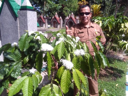 Takroni Akbar, Kepala UPT PPU saat memantau buah kopi yang berbunga (Ist)