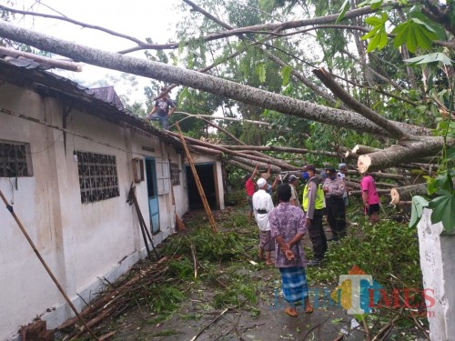 Pohon-pohon bertumbangan akibat angin kencang merusak rumah di Kec Udanawu