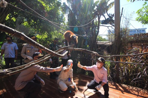Wakil Wali Kota Batu Punjul Santoso saat memberikan makan pada satwa di Batu Secret Zoo, Sabtu (27/6/2020). (Foto: Jatim Park Group)