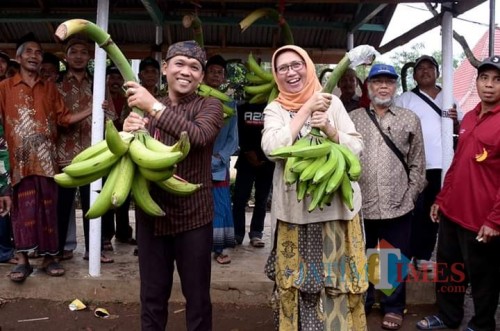 Bupati Lumajang H. Thoriqul Haq dan Wabup Ir. Indah Amperawati (Foto : Moch. R. Abdul Fatah / Jatim TIMES)