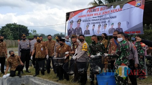 Bupati dan Forkopimda Blitar panen ikan nila kekar di Kecamatan Wlingi.