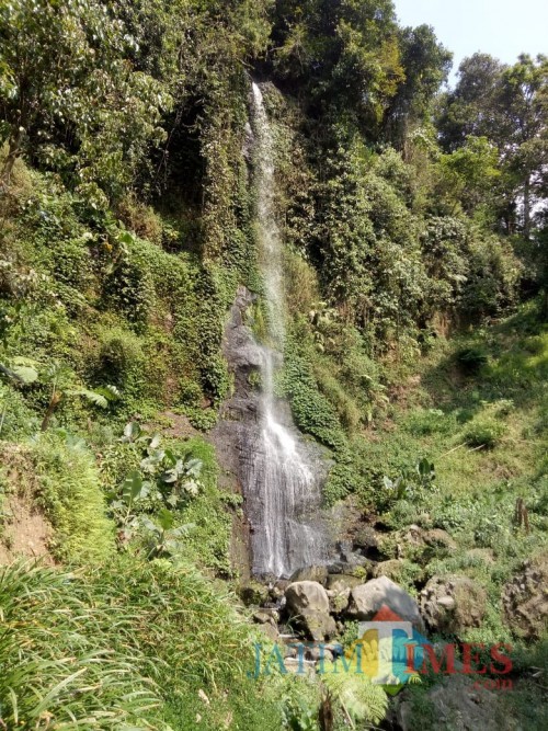 Air Terjun Sadang, salah satu icon di Alas Pujon Coban Sadang (Foto: Ima/MalangTIMES)