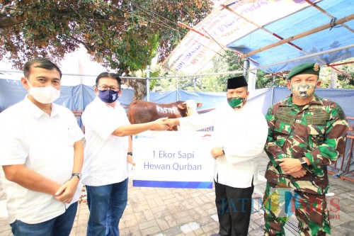 Bantuan hewan kurban yang diberikan