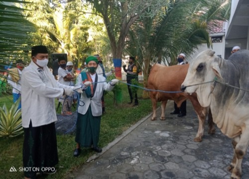 Penyerahan secara simbolis dua ekor sapi kurban kepada wakil takmir Masjid Baitul Hakim Kota Madiun ,KH Zainal Abidin.