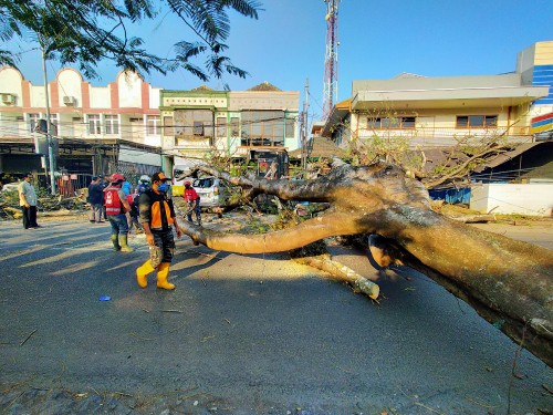 Kondisi Pohon tumbang yang melintang di tengah jalan BS Riadi (Anggara Sudiongko/MalangTIMES)