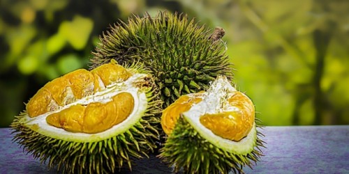 Kulit durian (Foto: Dream.co.id)
