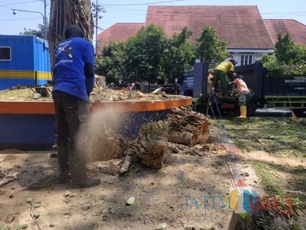 Tim potong pohon DLH Kota Malang (Hendra Saputra)