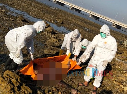 Tampak, mayat tanpa busana saat dievakuasi oleh petugas (foto/istimewa)