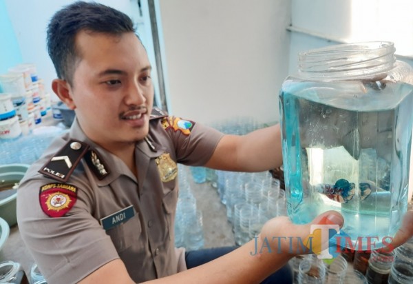 Bripda Andi Yanwar Priyo Anggodo menunjukan ikan cupang hasil budidaya.(eko arif s/Jatimtimes)