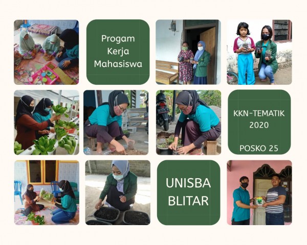 Ayu Rani memberikan sosialisasi bercocok tanam hidroponik kepada warga di Kelurahan Sutojayan