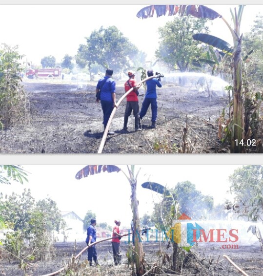 Petugas Damkar dibantu warga padamkan api