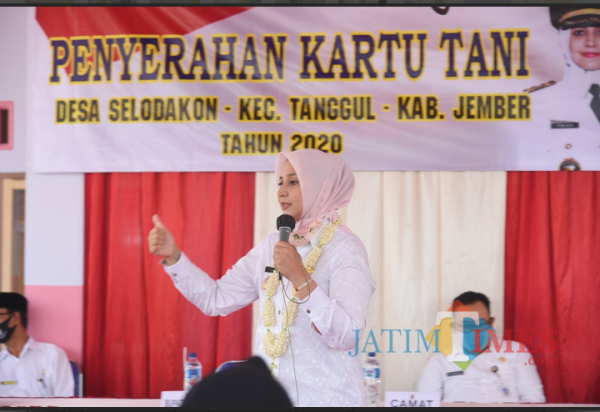 Bupati Faida