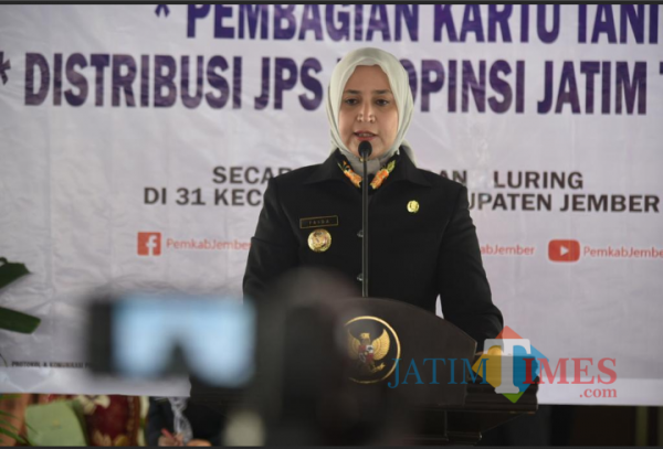 Bupati Faida