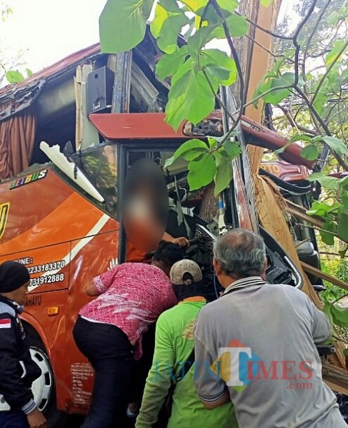 Warga memberikan pertolongan kepada sopir bus cepat Sugeng Rahayu yang menabrak pohon jati.