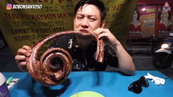 Youtuber Bobon Santoso santap king kobra.(Foto: YouTube The Santoso)