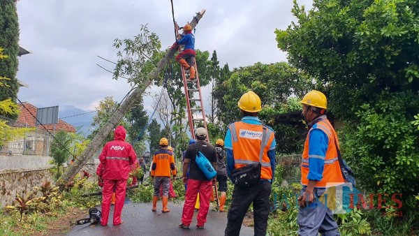 Petugas saat melakukan pembersihan pohon di Jalan Hasanudin, Dusun Beru, Desa Bumiaji Kecamatan Bumiaji, Sabtu (26/9/2020). (Foto: istimewa)