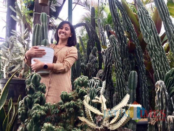 Lily saat membawa kaktus koboi berdampingan dengan kaktus monstroses di standnya Kelurahan Temas, Kecamatan Batu. (Foto: Irsya Richa/MalangTIMES)