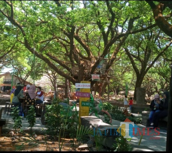 Wisata trembesi yang ada di tengah Kota Madiun. (foto Dodik eko p/MadiunTIMES)