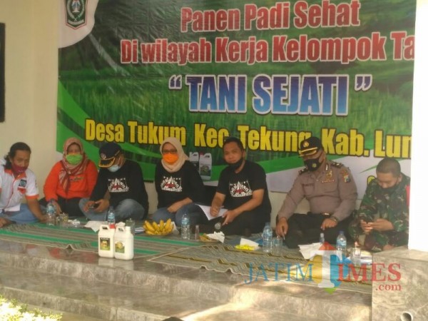 Panen Padi Organik ( Foto: Bramastyo Dhieka Anugerah / Jatimtimes)