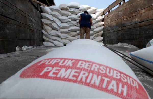 Ilustrasi pupuk subsidi yang alokasinya dikeluhkan oleh para petani di Kabupaten Malang (Foto : Istimewa)