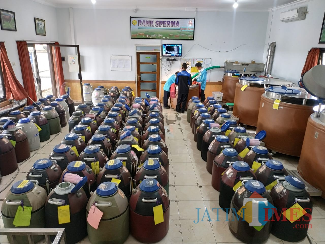 Masa Pandemi Covid-19, BBIB Singosari Tetap Produksi Semen ...