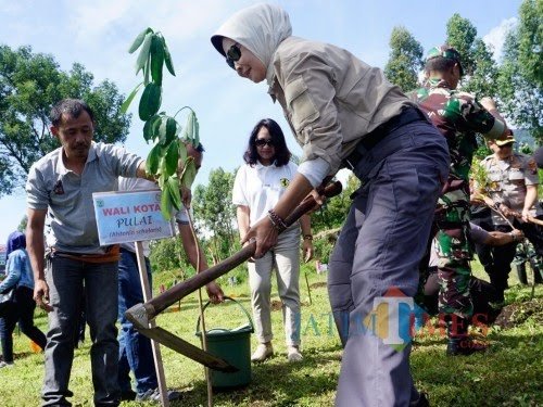 Wali Kota Batu Dewanti Rumpoko saat menanam pohon di Desa Oro-Oro Ombo beberapa saat lalu. (Foto: Irsya Richa/MalangTIMES)