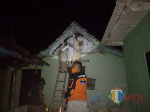 Petugas BPBD Ngawi Evakuasi Sarang Tawon Ndas