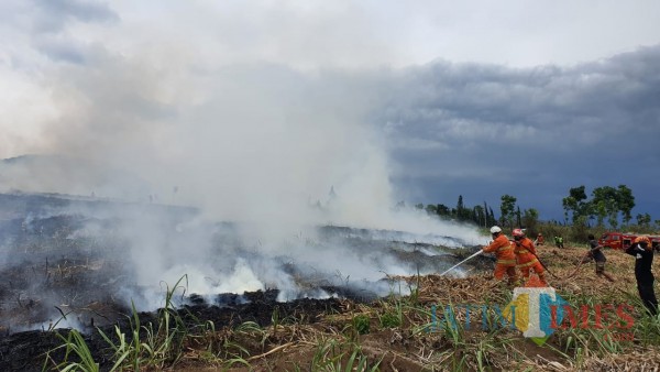 Petugas saat memadamkan api di Jalan Sukoarjo, Kelurahan Sisir, Kecamatan Batu, Minggu (18/10/2020). (Foto: istimewa)