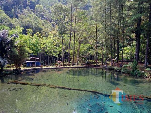 Rambut Monte, salah satu wisata alam unggulan di Kabupaten Blitar.(Foto : Aunur Rofiq/BlitarTIMES)