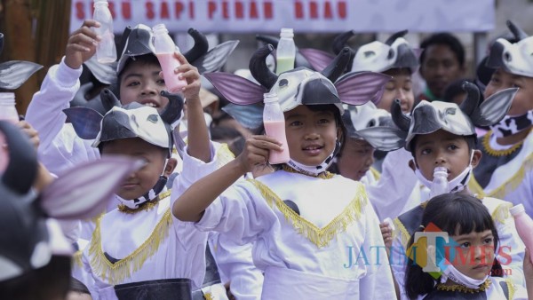 Para penari Sapi Bengah saat menunjukkan aksi minum susu dalam launching Desa Wisata Edukasi Susu dan Sapi Perah di Dusun Brau, Desa Gunungsari, Jumat (23/10/2020).