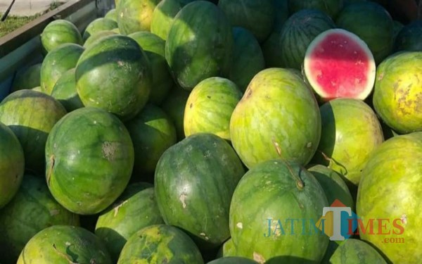 Semangka hasil panen petani di Tulungagung
