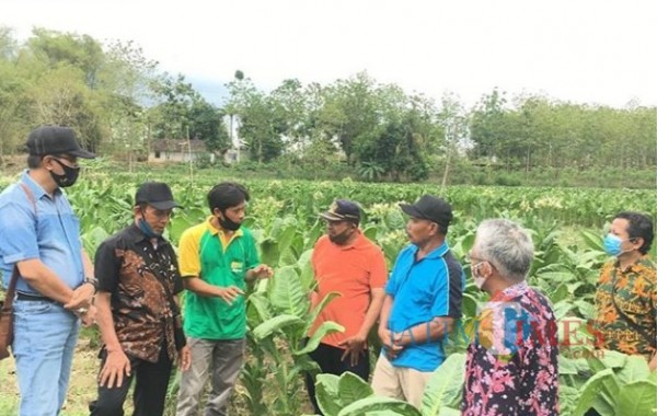 Dispertapa Kabupaten Blitar saat studi banding tembakau ke Kabupaten Rembang