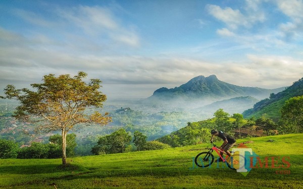 Lokasi Wisata Watu Payung Di bukit masuk desa Pelem Campurdarat / Foto : Dias / Tulungagung TIMES
