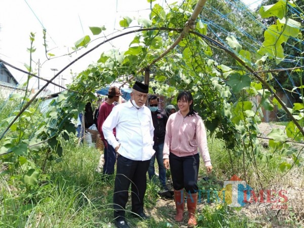 Calon Bupati Malang, Sanusi saat berkunjung ke lahan pertanian labu siam milik Kamelia Roselin di Pakisaji, Minggu (8/11/2020). (Foto: Dok. JatimTimes)