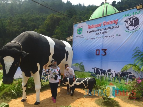 Beberapa wisatawan saat berswafoto di Kampung Sapi Bengah, Dusun Brau, Desa Gunungsari. (Foto: Irsya Richa/MalangTIMES)