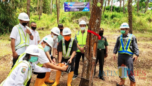 Pjs Bupati Trenggalek dan seluruh unsur terkait lakukan pemotongan pohon secara simbolis