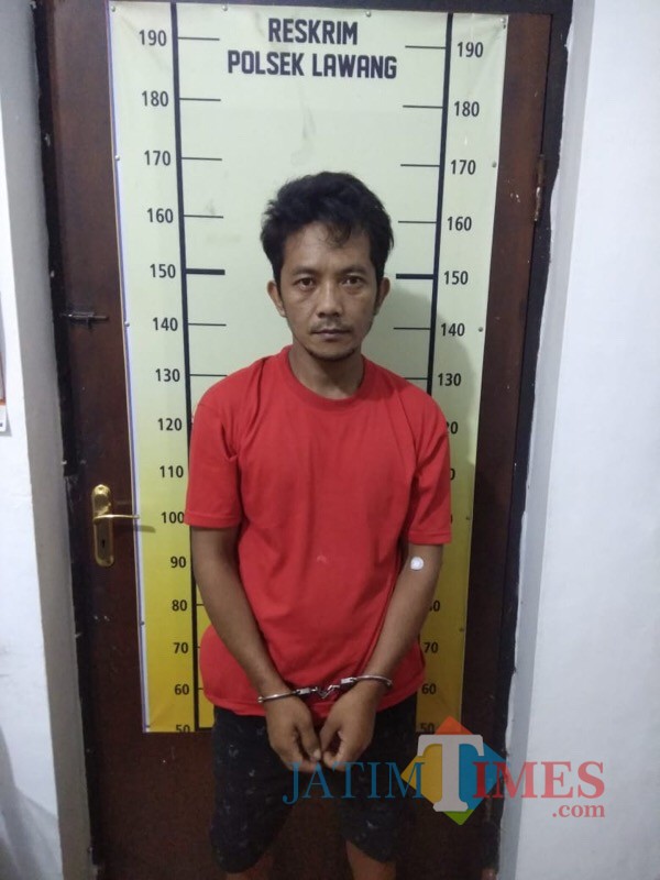 Badauroji alias Cowek saat diamankan jajaran kepolisian Polsek Lawang karena kasus pengedaran narkotika (Foto : Polsek Lawang for MalangTIMES)