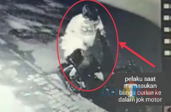 Pelaku pencurian bunga hias saat memasukkan bunga curian ke dalam jok motor (Ist)