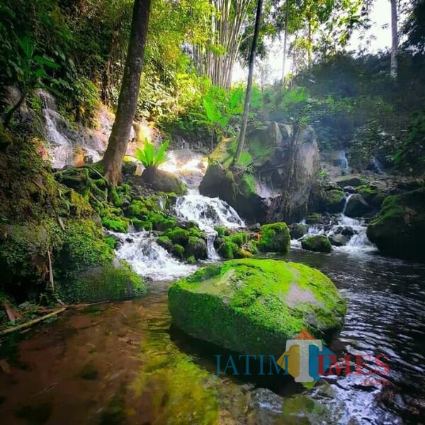 Sumber Telu Lumajang (Foto: Bramastyo Dhieka Anugerah / Jatim Times)