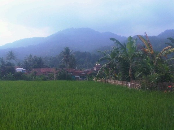 Gunung Mananggel (Foto: Twitter)